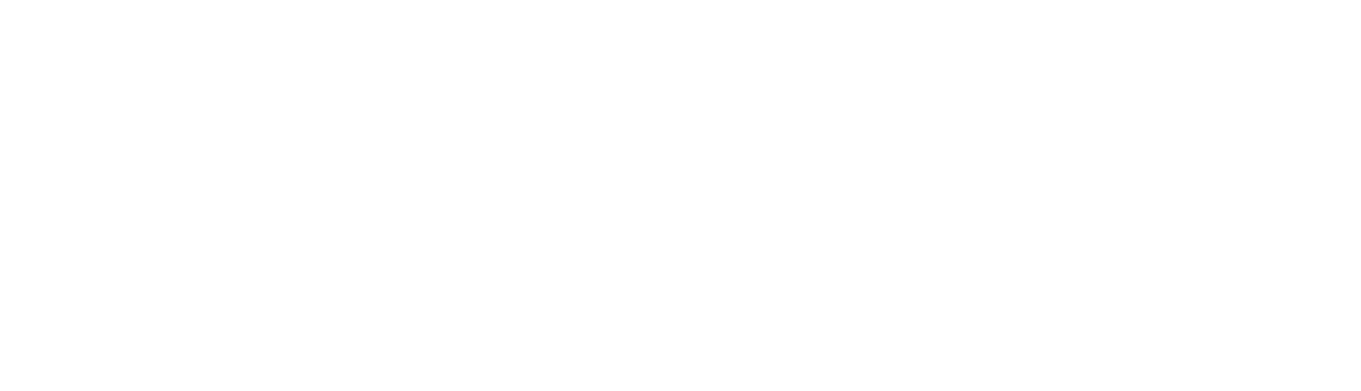 Space Network